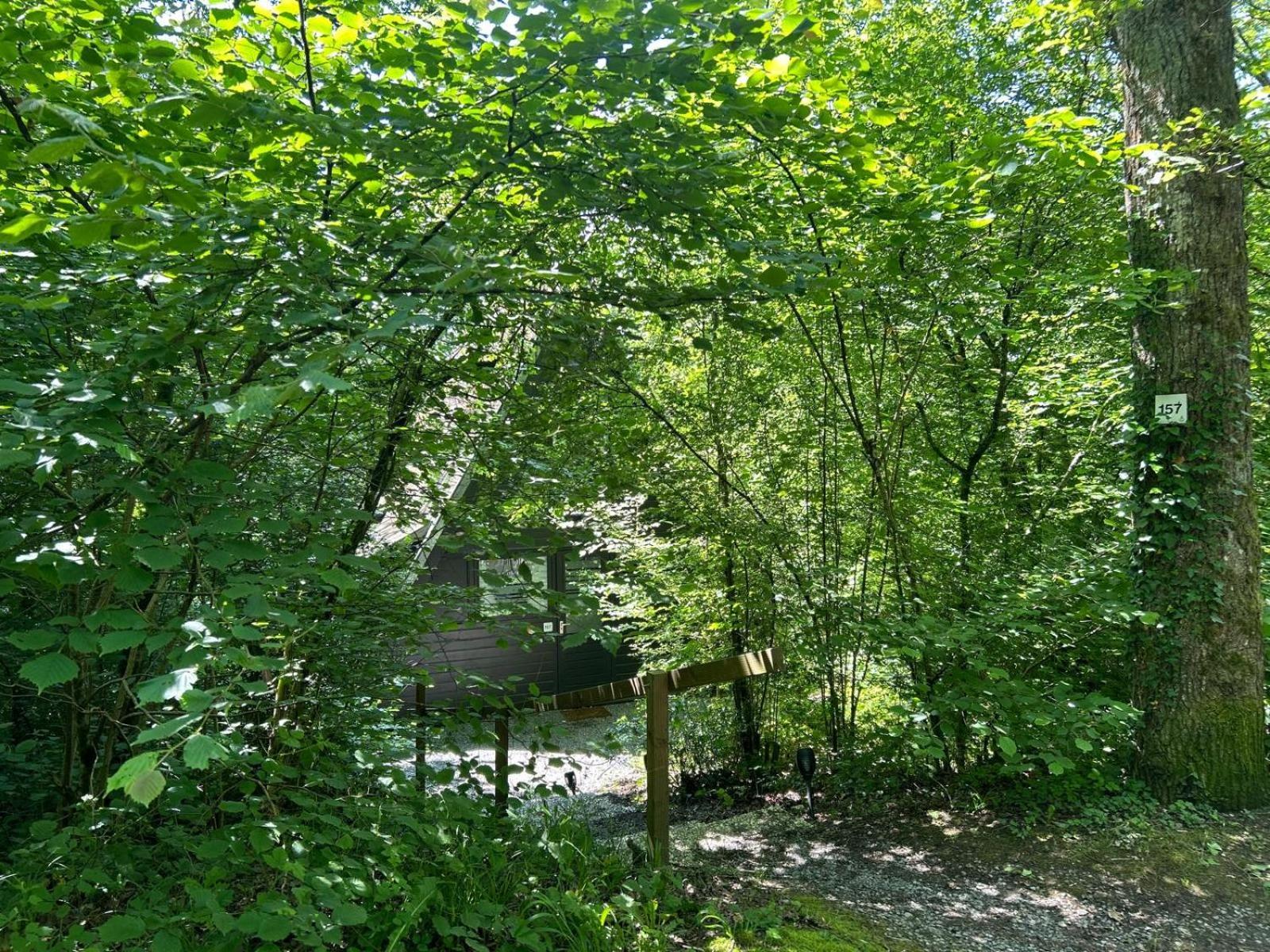 Oui-Durbuy Villa Екстериор снимка